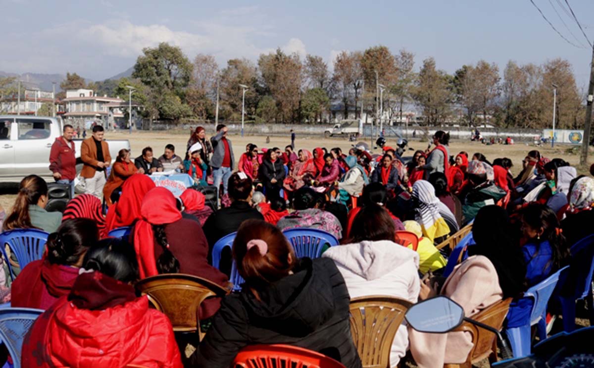 नवौ पोखरा महोत्सवलाई ३ सय वढी संघ सस्थाले सहयोग गर्ने