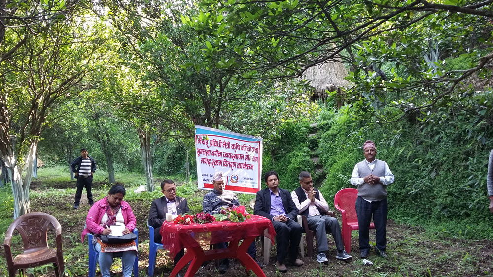 सुन्तला बगैंचा व्यवस्थापनमा पोखरा महानगरको सहयोग