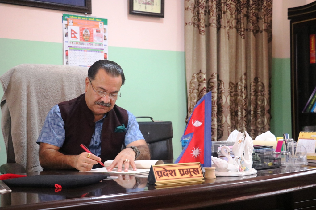 पारिश्रमिक र सुविधा सम्बन्धी केही प्रदेश कानूनलाई संसोधन गर्न बनेको विधेयक प्रमाणिकरण