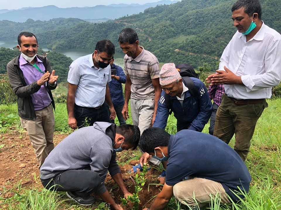 नेपालमा बार्षिक २ अरब भन्दा बढिको कागती आयात, कागतीमा आत्मनिर्भर बन्नुपर्नेमा जोड