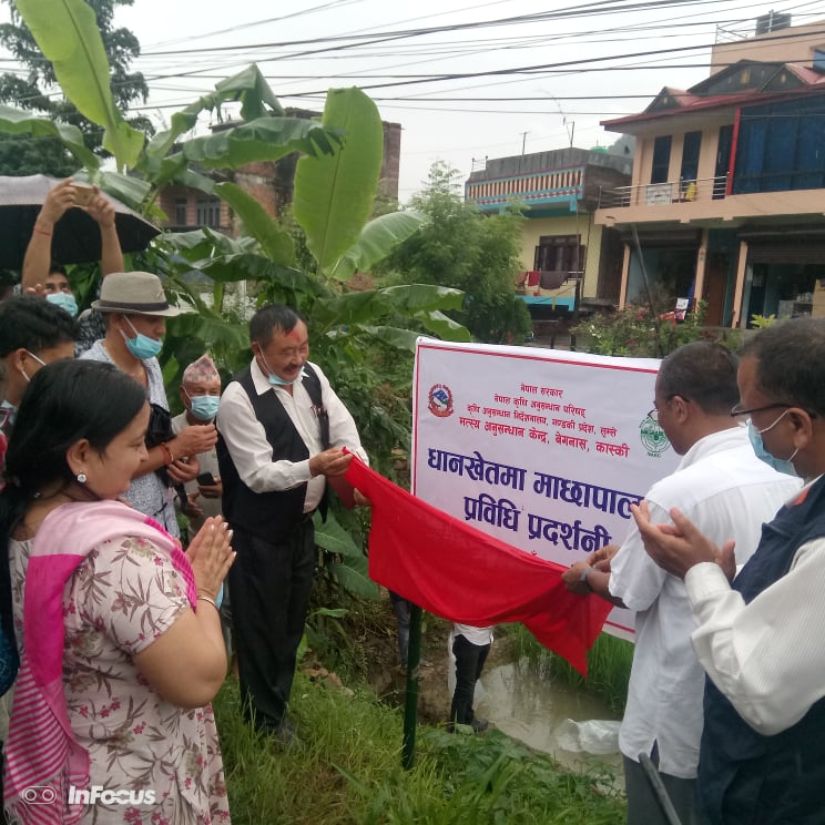 नार्क प्रविधि गाउँ आँवुबरादीमा मत्स्य पालन प्रविधि प्रर्दशन