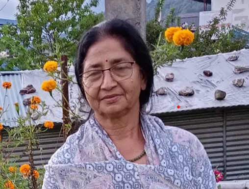 उर्मिला अर्याल राष्ट्रिय सभा उपाध्यक्षमा निर्विरोध