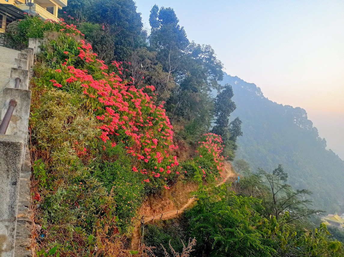 मौसम : पहाडी क्षेत्रकाे मौसम आंशिक बदली हुने